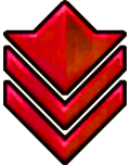 Bravo Platoon Sergeant