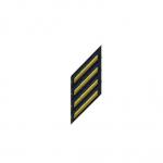 SERVICE STRIPE 4.jpg